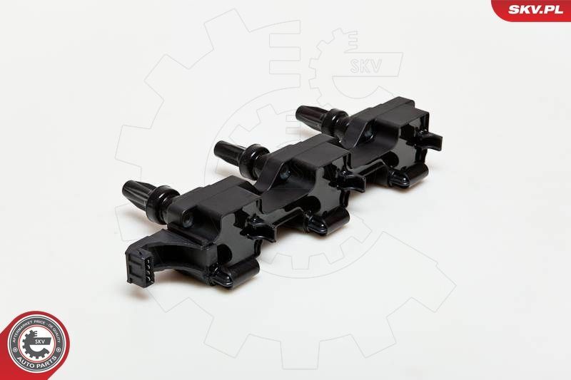 Ritė, uždegimas ESEN SKV 03SKV114