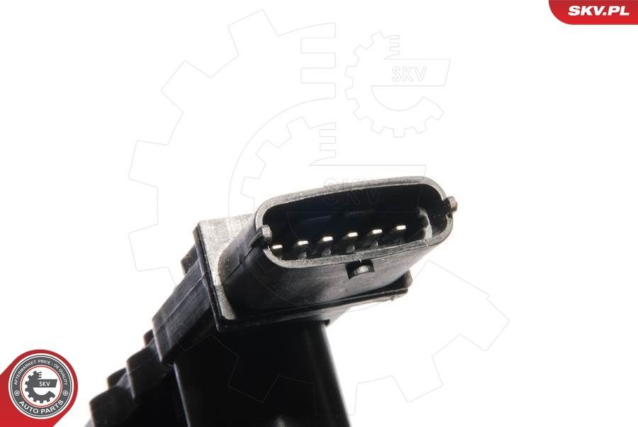 Ritė, uždegimas ESEN SKV 03SKV123