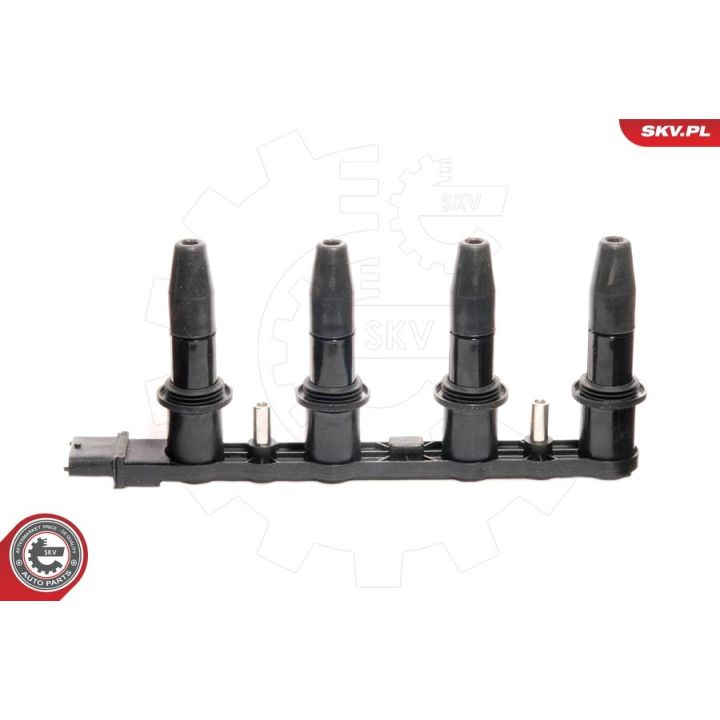 Ritė, uždegimas ESEN SKV 03SKV123