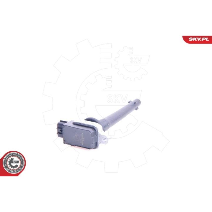 Ritė, uždegimas ESEN SKV 03SKV135