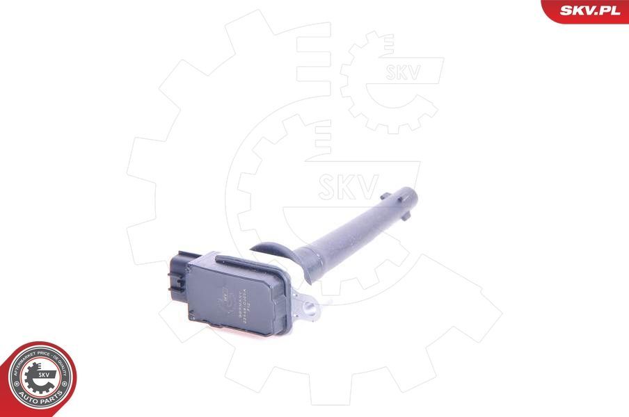 Ritė, uždegimas ESEN SKV 03SKV135