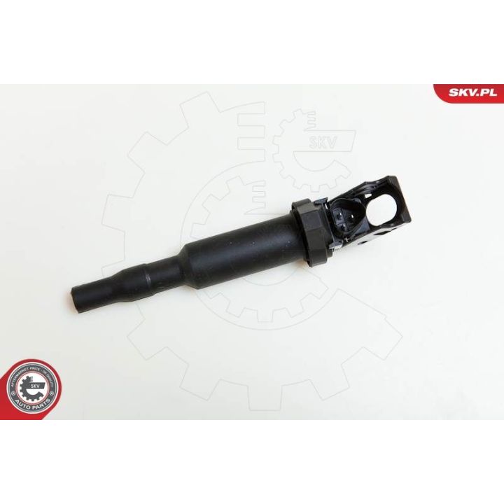 Ritė, uždegimas ESEN SKV 03SKV142