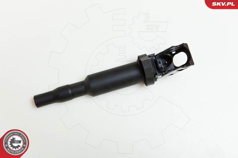 Ritė, uždegimas ESEN SKV 03SKV142