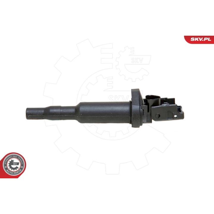 Ritė, uždegimas ESEN SKV 03SKV142