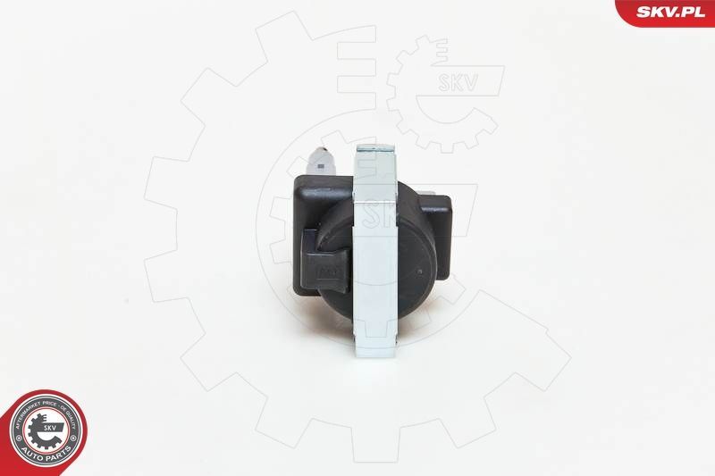 Ritė, uždegimas ESEN SKV 03SKV144