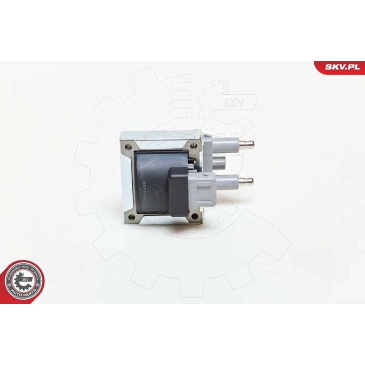 Ritė, uždegimas ESEN SKV 03SKV144