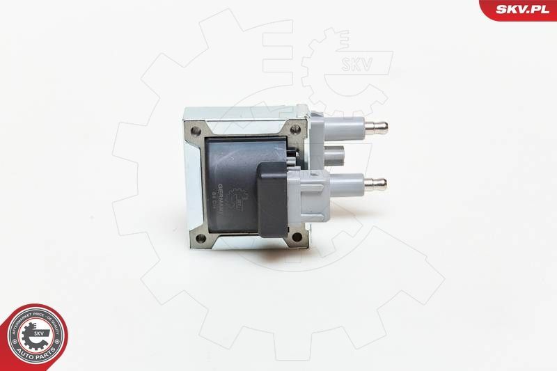 Ritė, uždegimas ESEN SKV 03SKV144