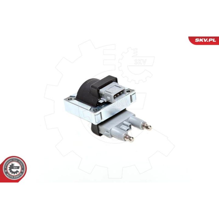 Ritė, uždegimas ESEN SKV 03SKV144