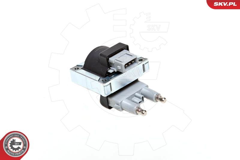 Ritė, uždegimas ESEN SKV 03SKV144