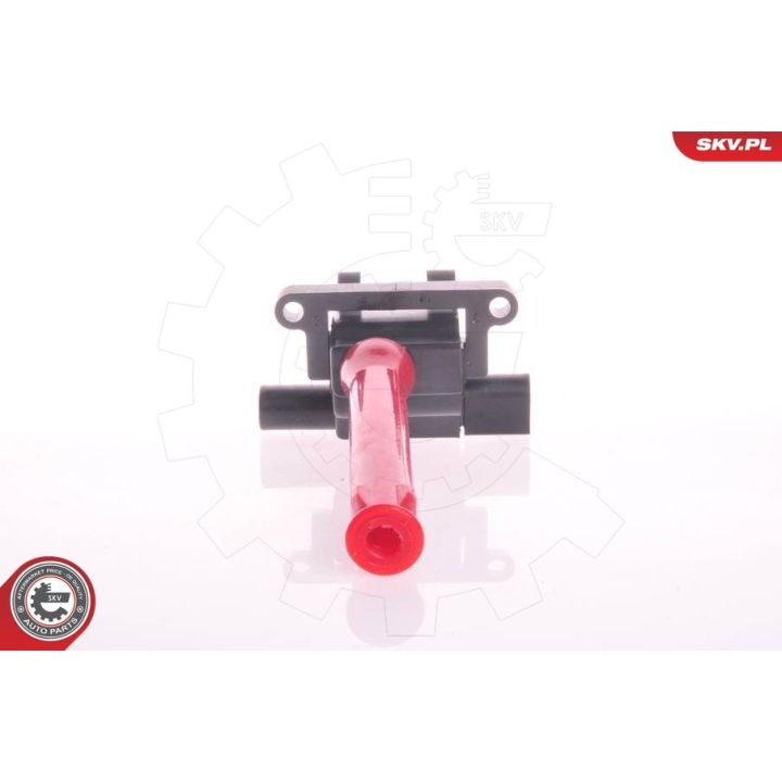 Ritė, uždegimas ESEN SKV 03SKV148