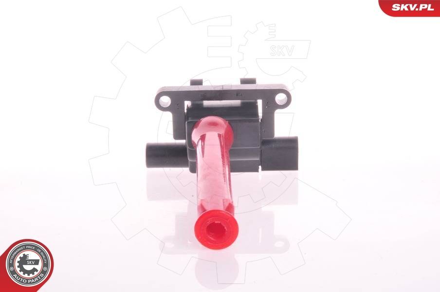 Ritė, uždegimas ESEN SKV 03SKV148