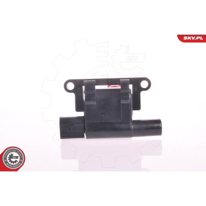 Ritė, uždegimas ESEN SKV 03SKV148