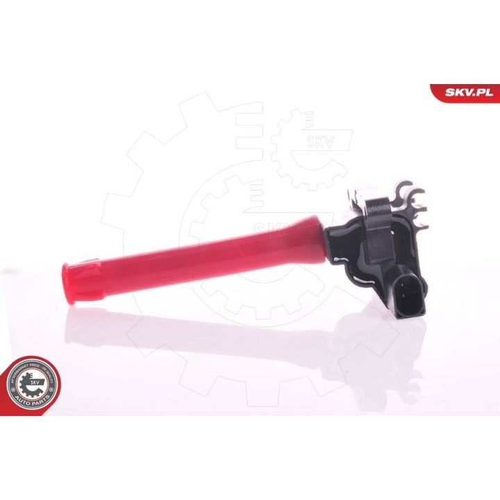 Ritė, uždegimas ESEN SKV 03SKV148