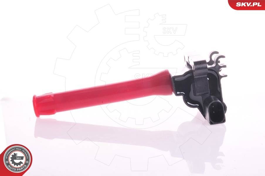 Ritė, uždegimas ESEN SKV 03SKV148