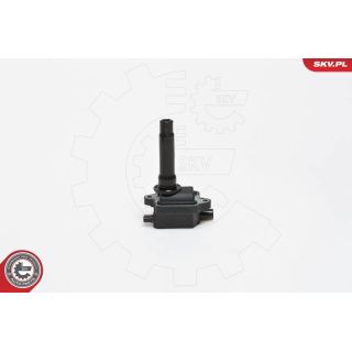 Ritė, uždegimas ESEN SKV 03SKV149