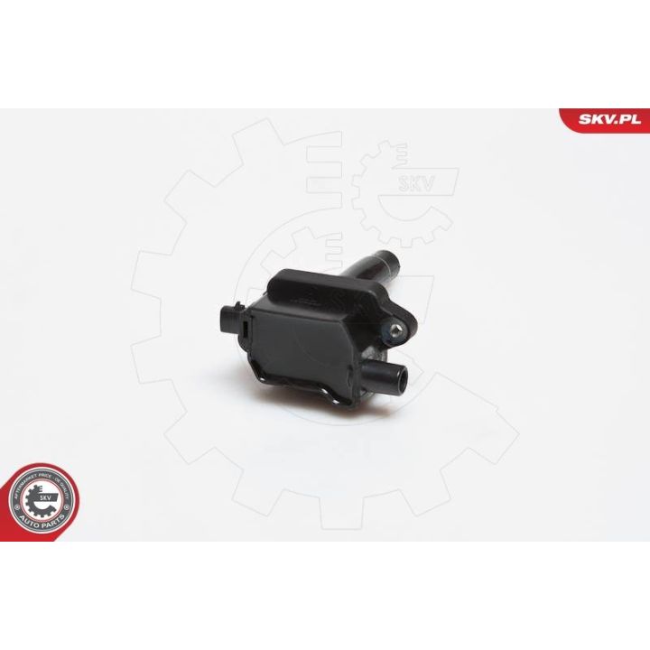 Ritė, uždegimas ESEN SKV 03SKV149