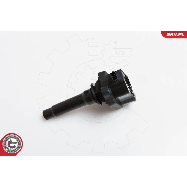 Ritė, uždegimas ESEN SKV 03SKV149