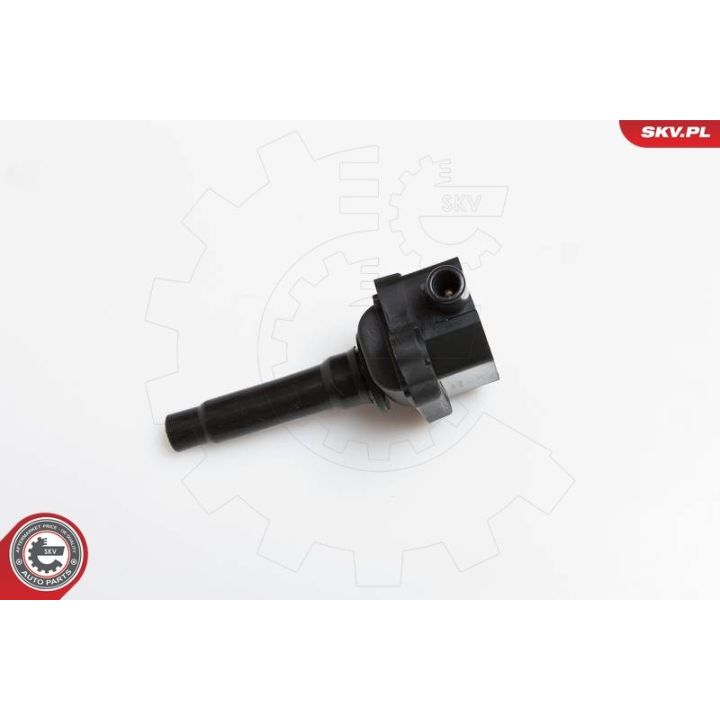 Ritė, uždegimas ESEN SKV 03SKV149