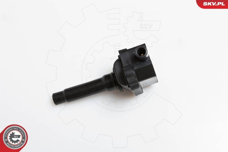 Ritė, uždegimas ESEN SKV 03SKV149