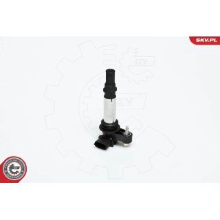 Ritė, uždegimas ESEN SKV 03SKV151