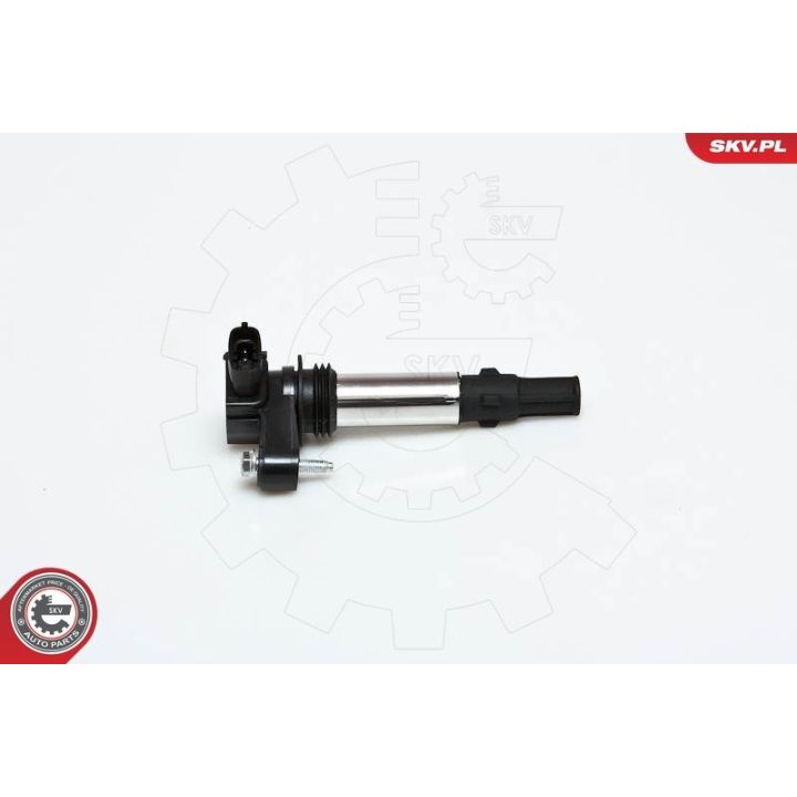 Ritė, uždegimas ESEN SKV 03SKV151