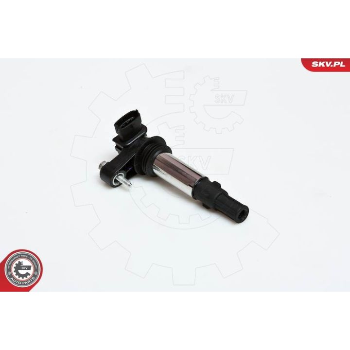 Ritė, uždegimas ESEN SKV 03SKV151