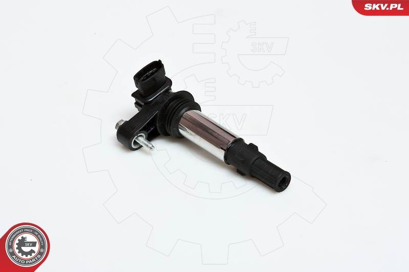 Ritė, uždegimas ESEN SKV 03SKV151