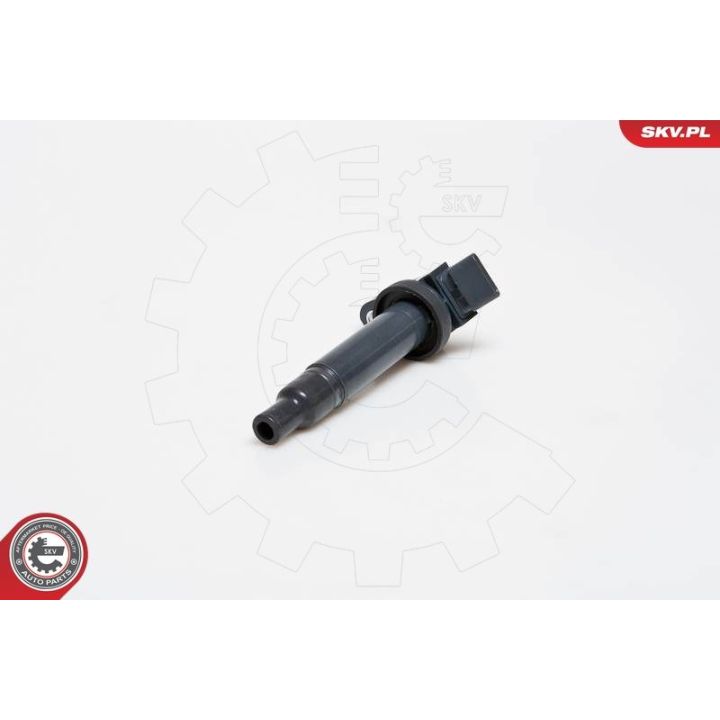 Ritė, uždegimas ESEN SKV 03SKV153