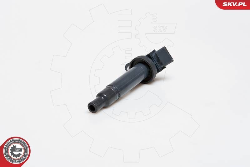 Ritė, uždegimas ESEN SKV 03SKV153