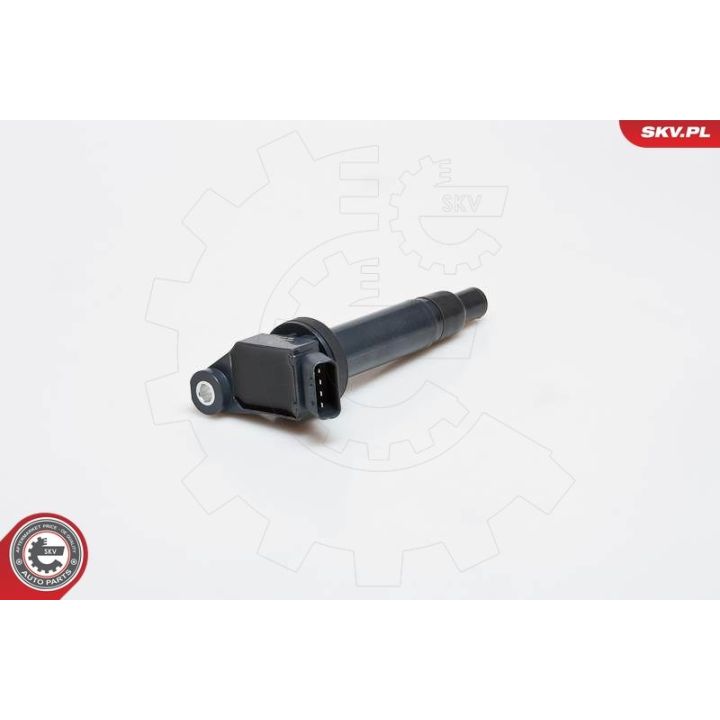 Ritė, uždegimas ESEN SKV 03SKV153