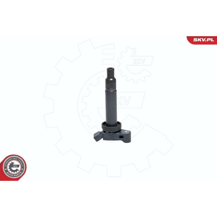 Ritė, uždegimas ESEN SKV 03SKV153