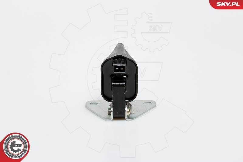 Ritė, uždegimas ESEN SKV 03SKV159