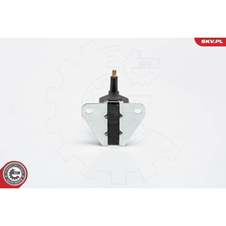 Ritė, uždegimas ESEN SKV 03SKV159