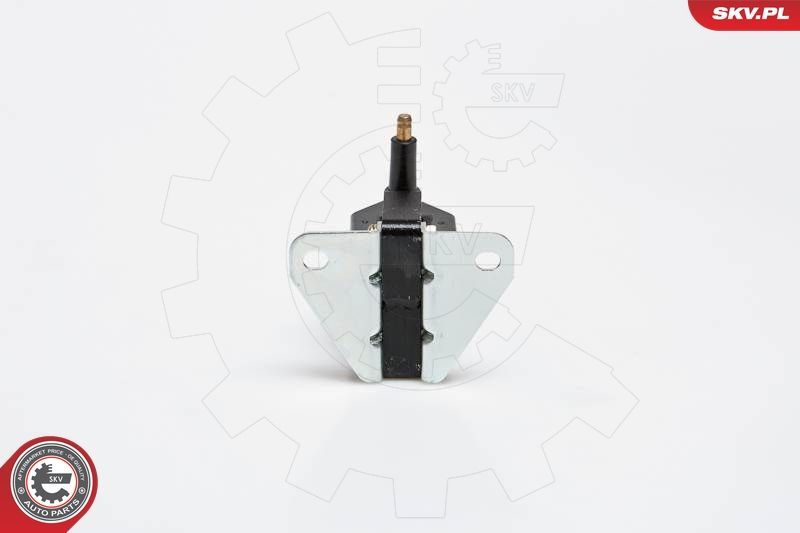 Ritė, uždegimas ESEN SKV 03SKV159