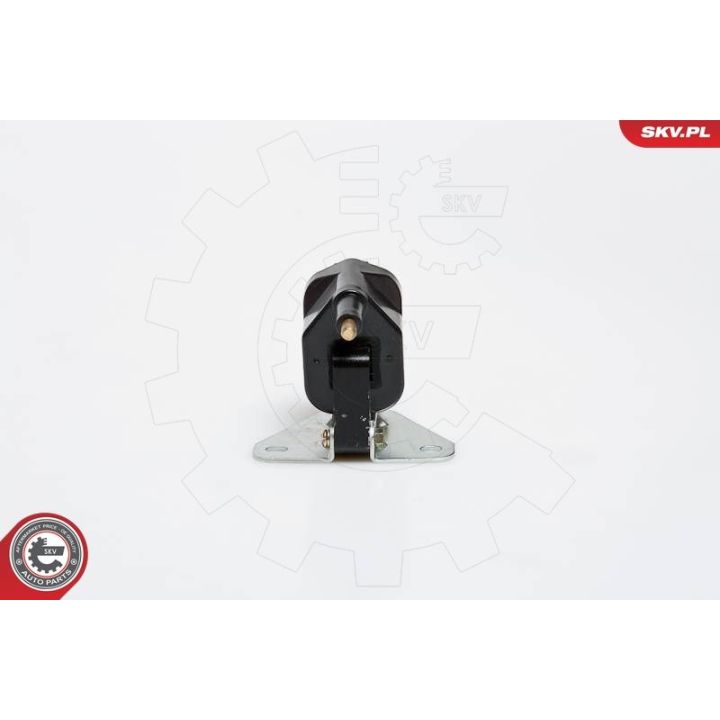 Ritė, uždegimas ESEN SKV 03SKV159