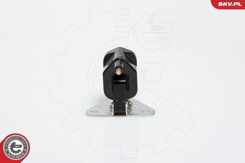 Ritė, uždegimas ESEN SKV 03SKV159