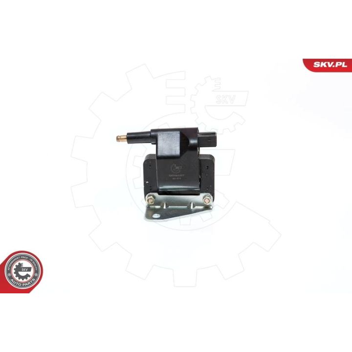 Ritė, uždegimas ESEN SKV 03SKV159