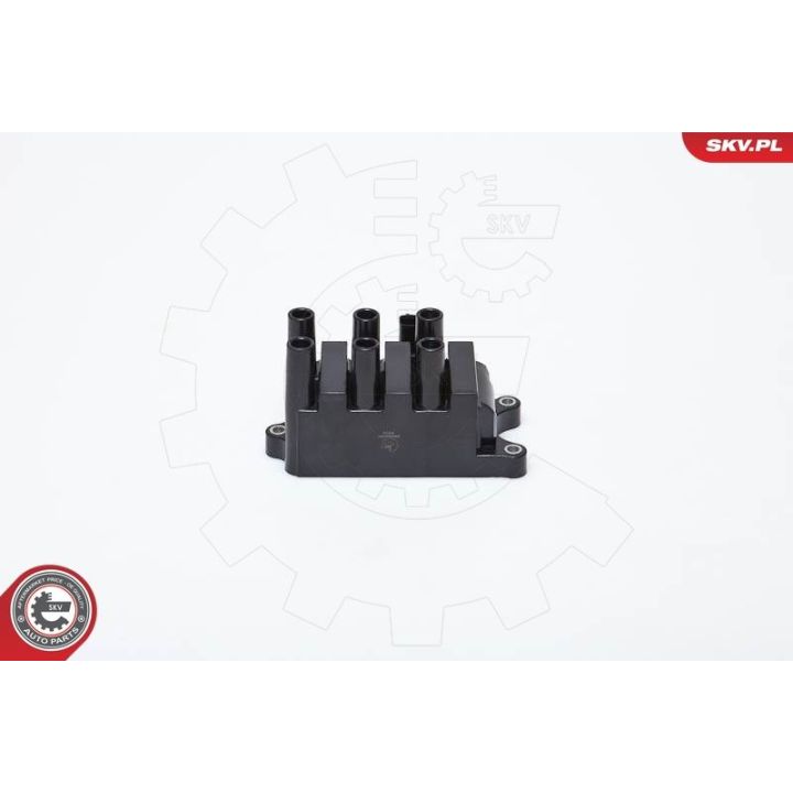 Ritė, uždegimas ESEN SKV 03SKV161