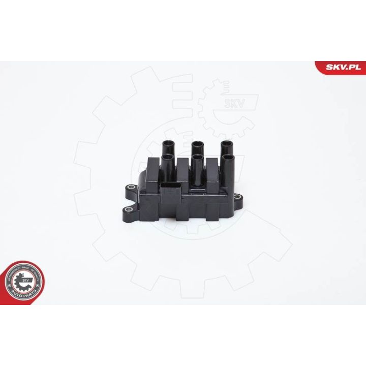 Ritė, uždegimas ESEN SKV 03SKV161