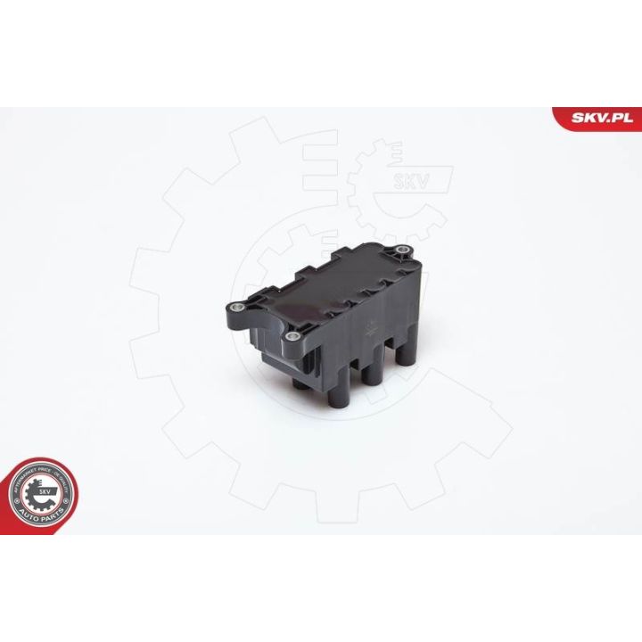 Ritė, uždegimas ESEN SKV 03SKV161