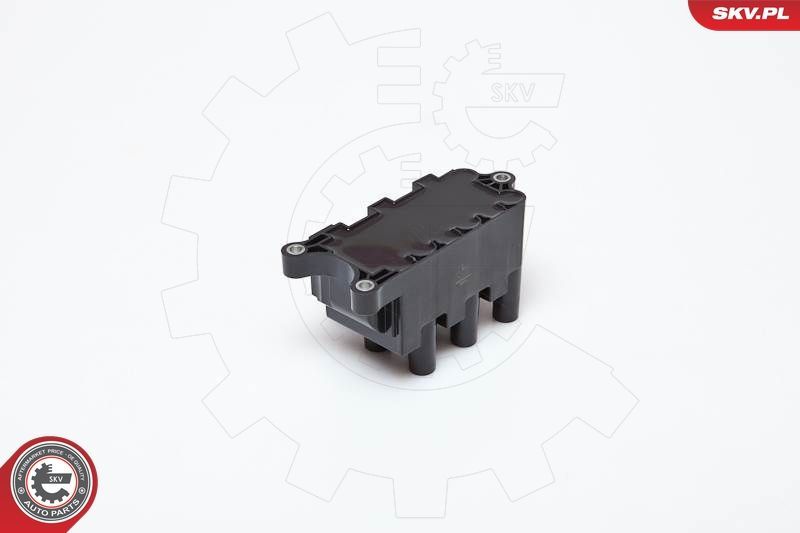 Ritė, uždegimas ESEN SKV 03SKV161