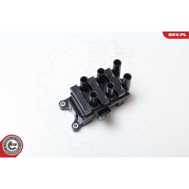 Ritė, uždegimas ESEN SKV 03SKV161