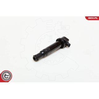 Ritė, uždegimas ESEN SKV 03SKV167