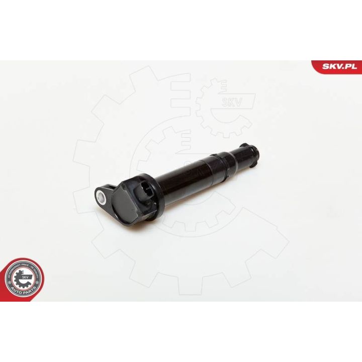 Ritė, uždegimas ESEN SKV 03SKV167