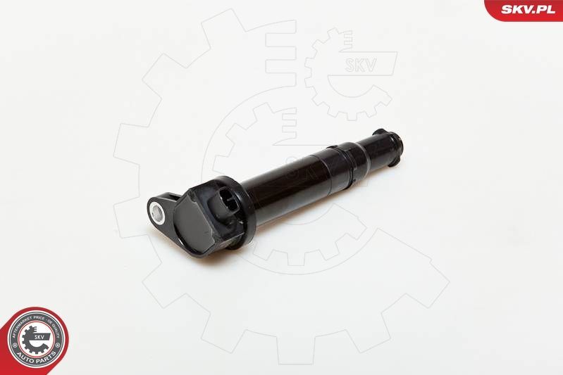 Ritė, uždegimas ESEN SKV 03SKV167