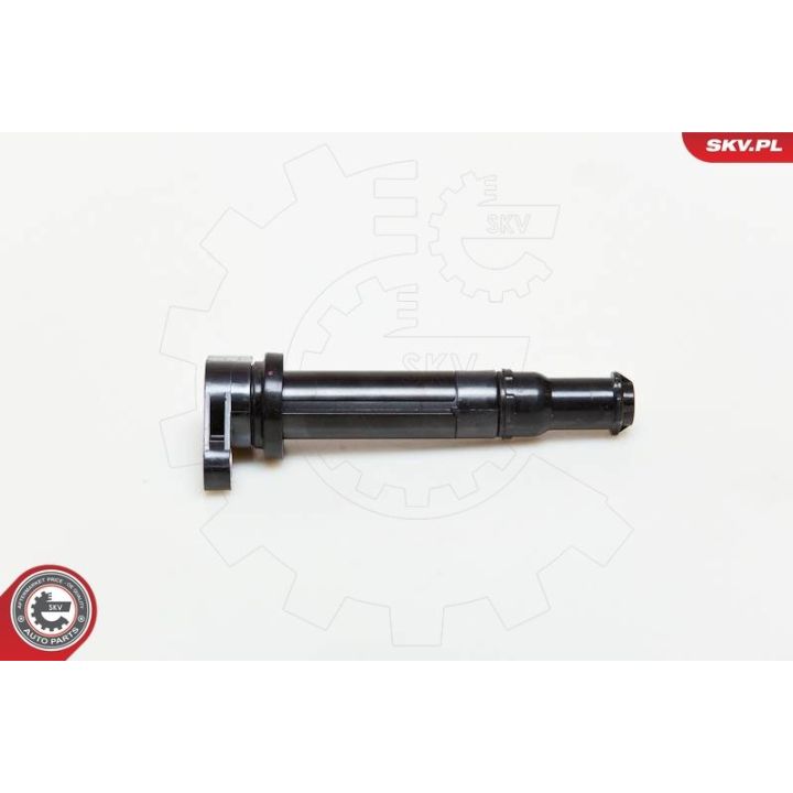 Ritė, uždegimas ESEN SKV 03SKV167