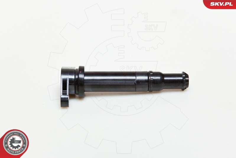 Ritė, uždegimas ESEN SKV 03SKV167