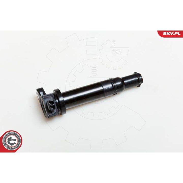 Ritė, uždegimas ESEN SKV 03SKV167