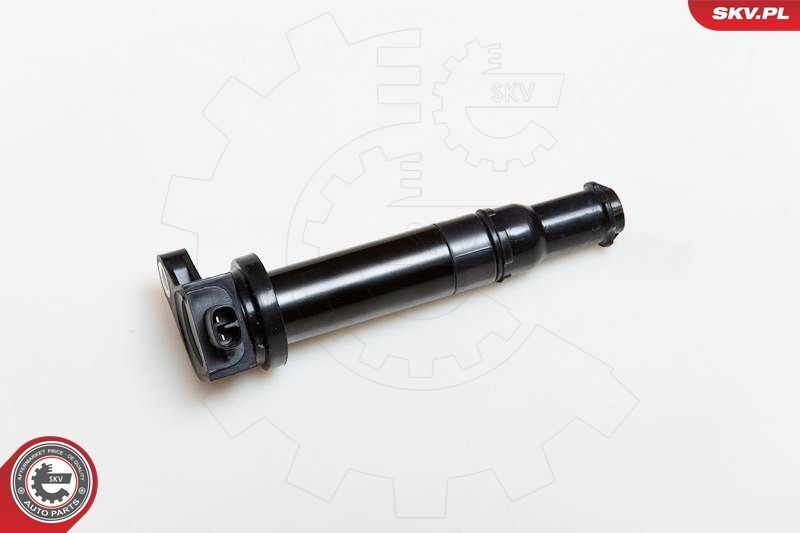 Ritė, uždegimas ESEN SKV 03SKV167