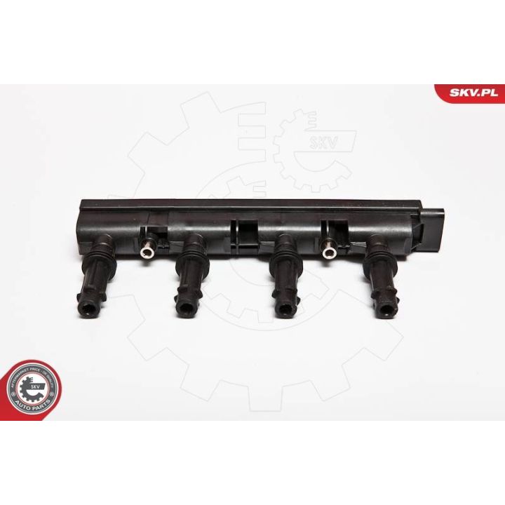 Ritė, uždegimas ESEN SKV 03SKV170